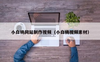 开原小白杨网站制作视频（小白杨视频素材）